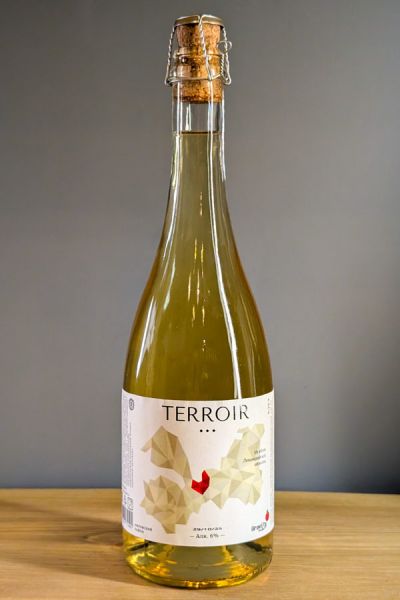 Gravity Terroir Кировский район 2022